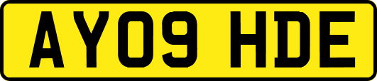 AY09HDE