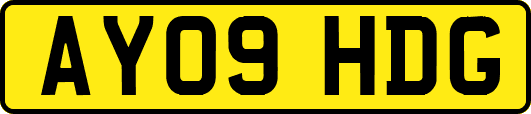 AY09HDG