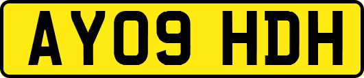 AY09HDH