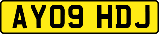 AY09HDJ