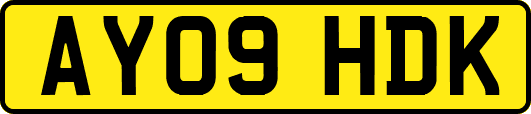 AY09HDK