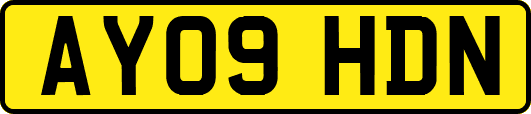 AY09HDN