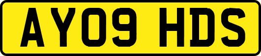 AY09HDS