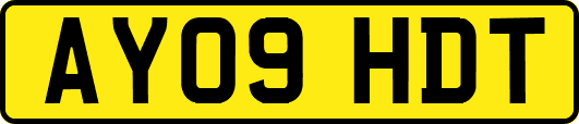 AY09HDT