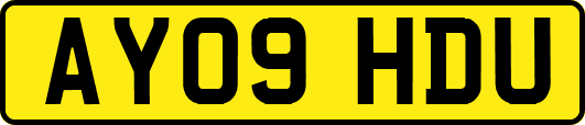 AY09HDU