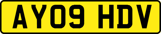 AY09HDV