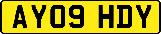 AY09HDY