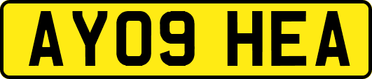 AY09HEA
