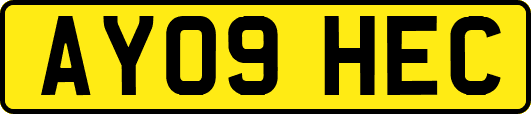 AY09HEC