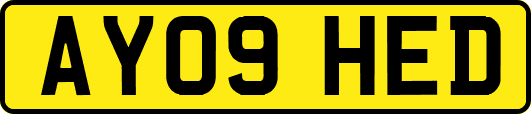 AY09HED