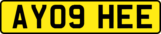 AY09HEE