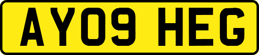 AY09HEG