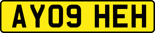 AY09HEH