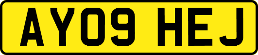 AY09HEJ
