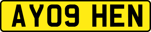 AY09HEN