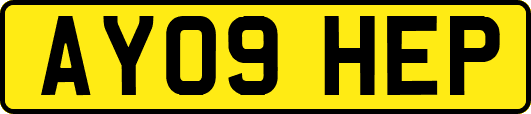 AY09HEP