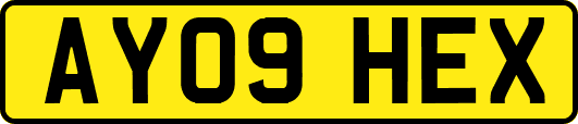 AY09HEX