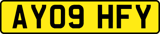 AY09HFY