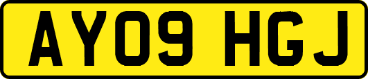 AY09HGJ