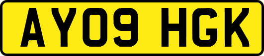 AY09HGK