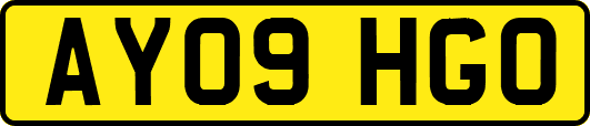 AY09HGO