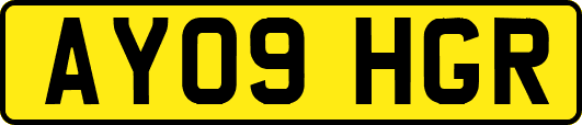 AY09HGR