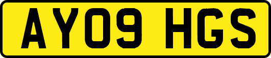 AY09HGS