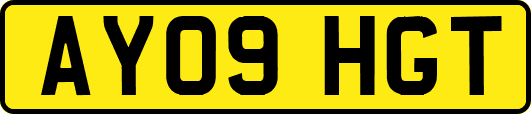 AY09HGT