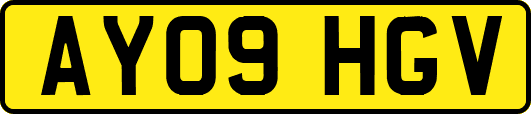 AY09HGV
