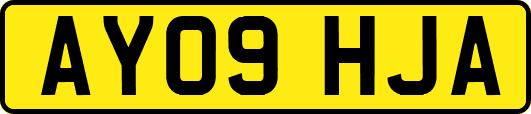 AY09HJA
