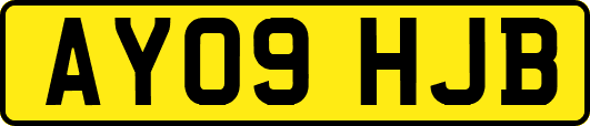 AY09HJB