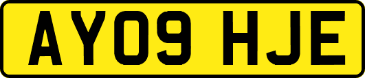 AY09HJE