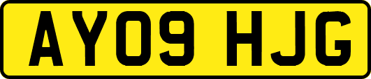 AY09HJG
