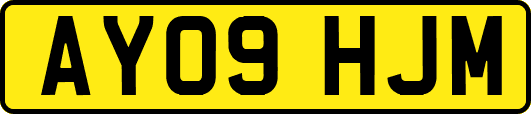AY09HJM
