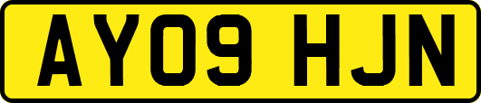 AY09HJN