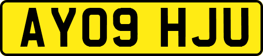 AY09HJU