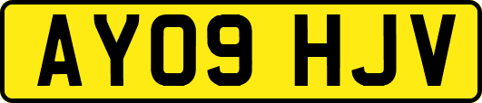 AY09HJV