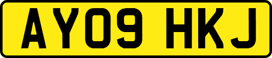 AY09HKJ