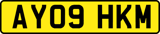 AY09HKM