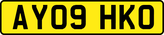 AY09HKO
