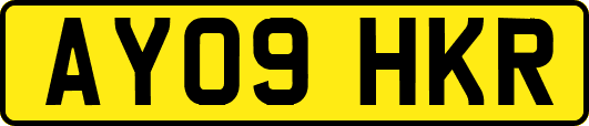 AY09HKR