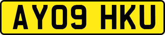 AY09HKU