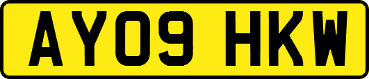 AY09HKW