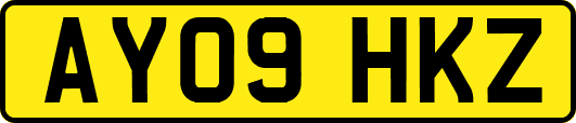 AY09HKZ