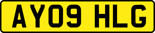 AY09HLG