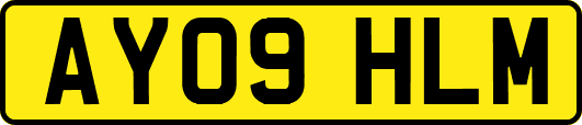 AY09HLM