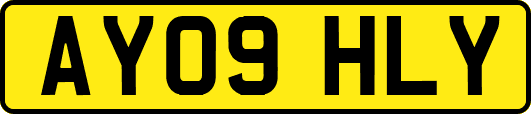 AY09HLY