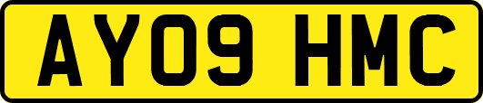 AY09HMC