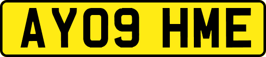 AY09HME