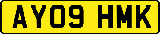 AY09HMK